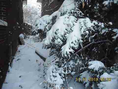 3319 Pingree (8)_m.jpg